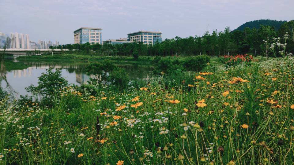  中建智慧科技园